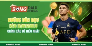 Hướng Dẫn Đọc Kèo Bongdalu - Chính Xác Dễ Hiểu Nhất