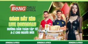 Cách bắt kèo live Bongdalu - Hướng dẫn toàn tập từ A-Z cho người mới
