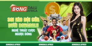 Soi Kèo Đội Cửa Dưới Bongdalu - Chiến Lược Cá Cược Hiệu Quả