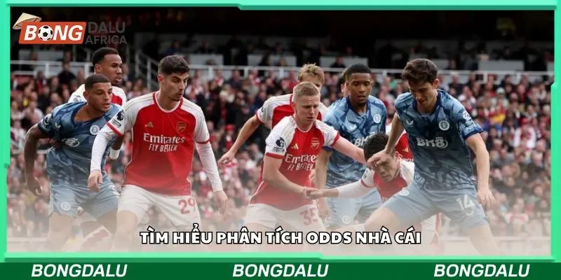 Soi odds hiệu quả cho tân thủ